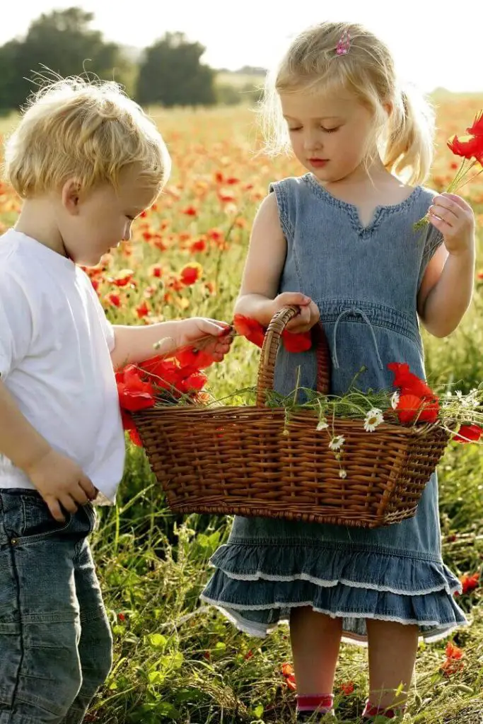 Kids Gathering Flowers