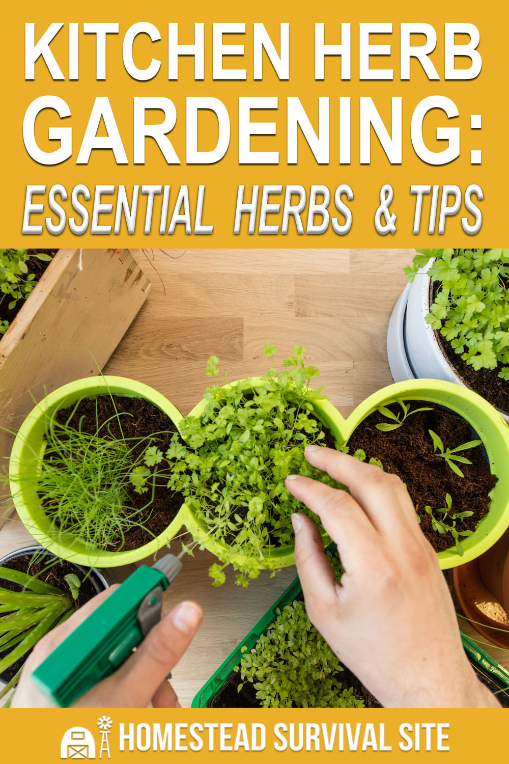 Kitchen Herb Gardening: Essential Herbs and Tips