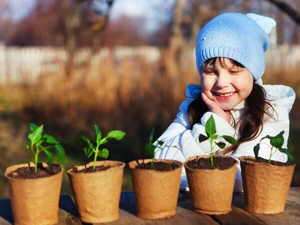 Little Girl Look At Seedlings In Planters