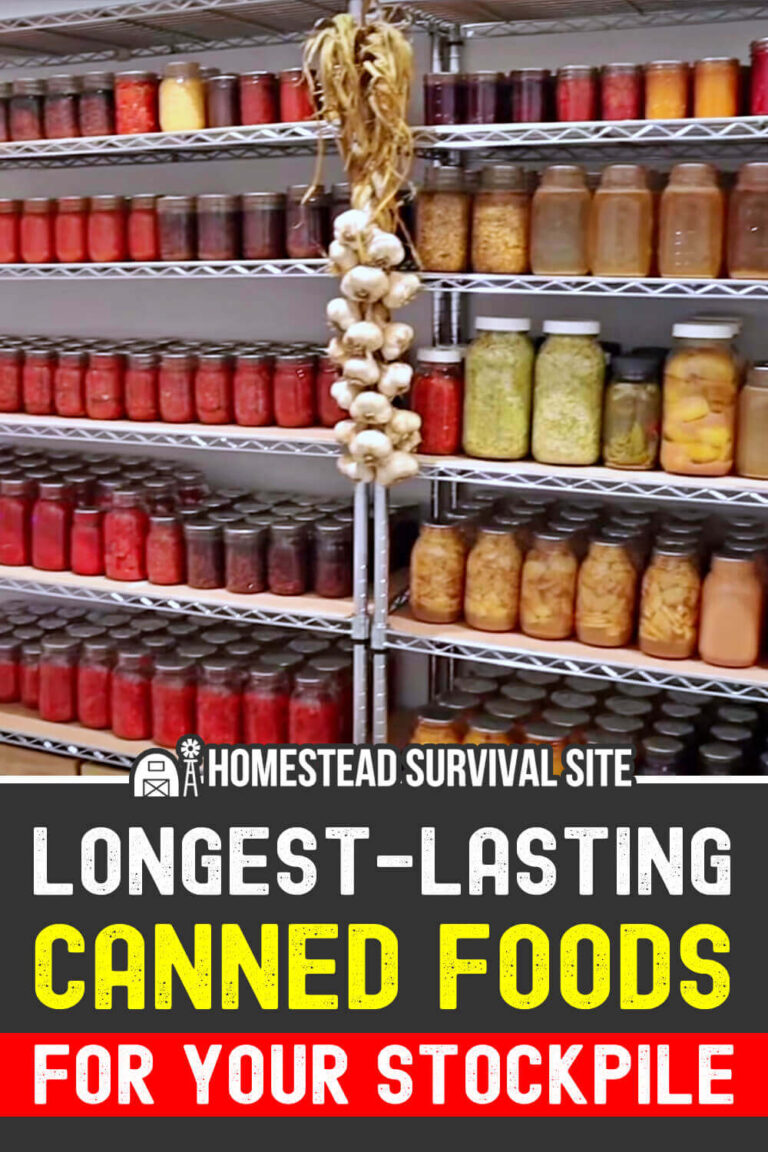 LongestLasting Canned Foods for Your Stockpile