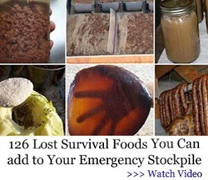 Lost Super Foods