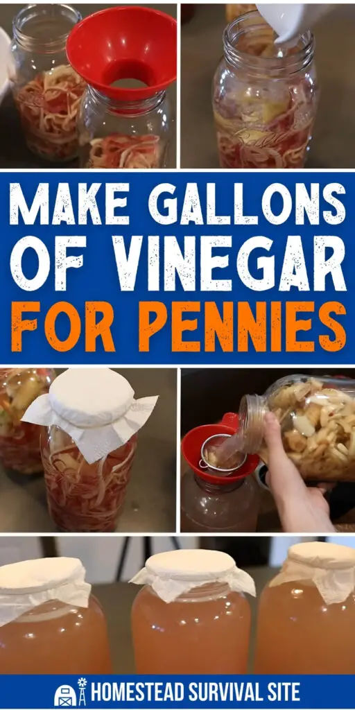 How to Make Gallons of Vinegar for Pennies