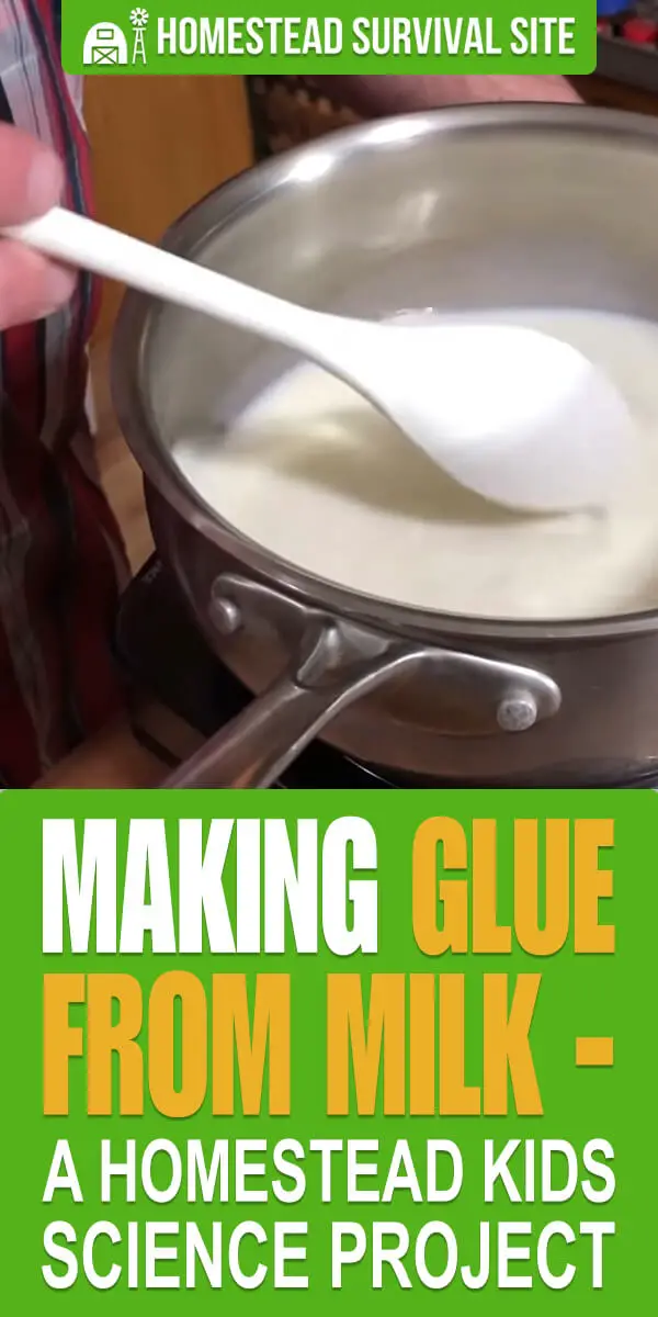 Making Glue From Milk - A Homestead Kids Science Project