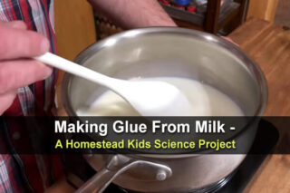 Making Glue From Milk - A Homestead Kids Science Project