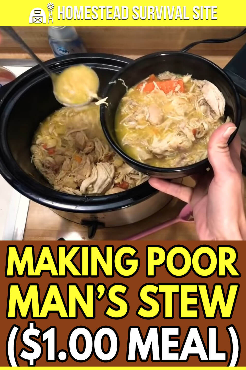 Making Poor Man’s Stew ($1.00 Meal)