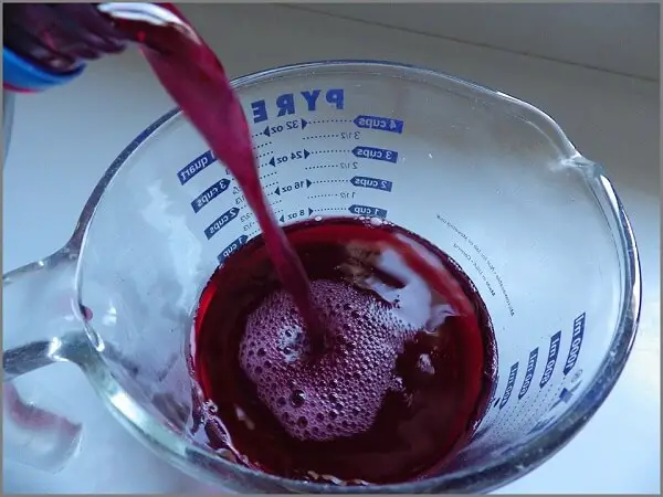 Making Pure Blackberry Juice