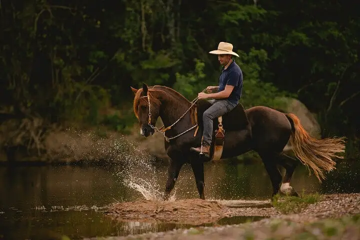 Man Riding a Horse