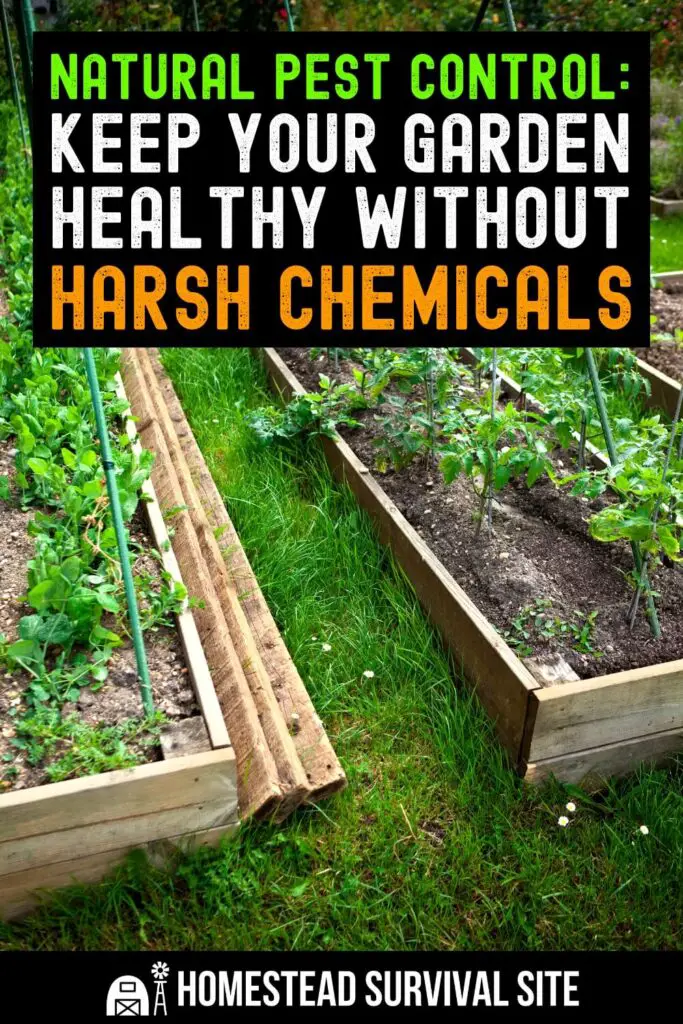 Natural Pest Control: Keep Your Garden Healthy Without Harsh Chemicals