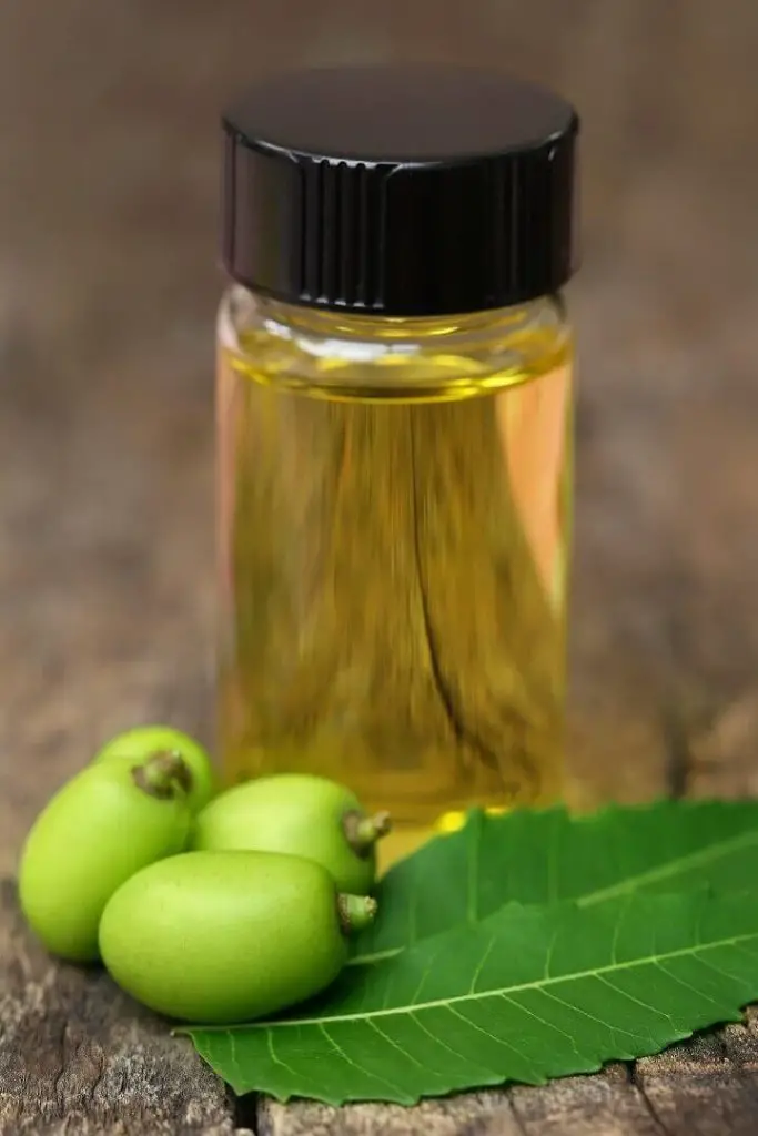 Neem Oil and Leaves