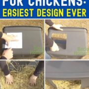 Pinterest Hidden Image