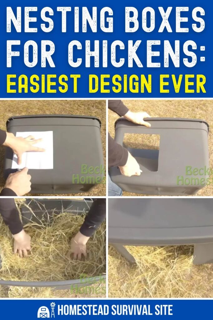 Nesting Boxes for Chickens: Easiest Design Ever