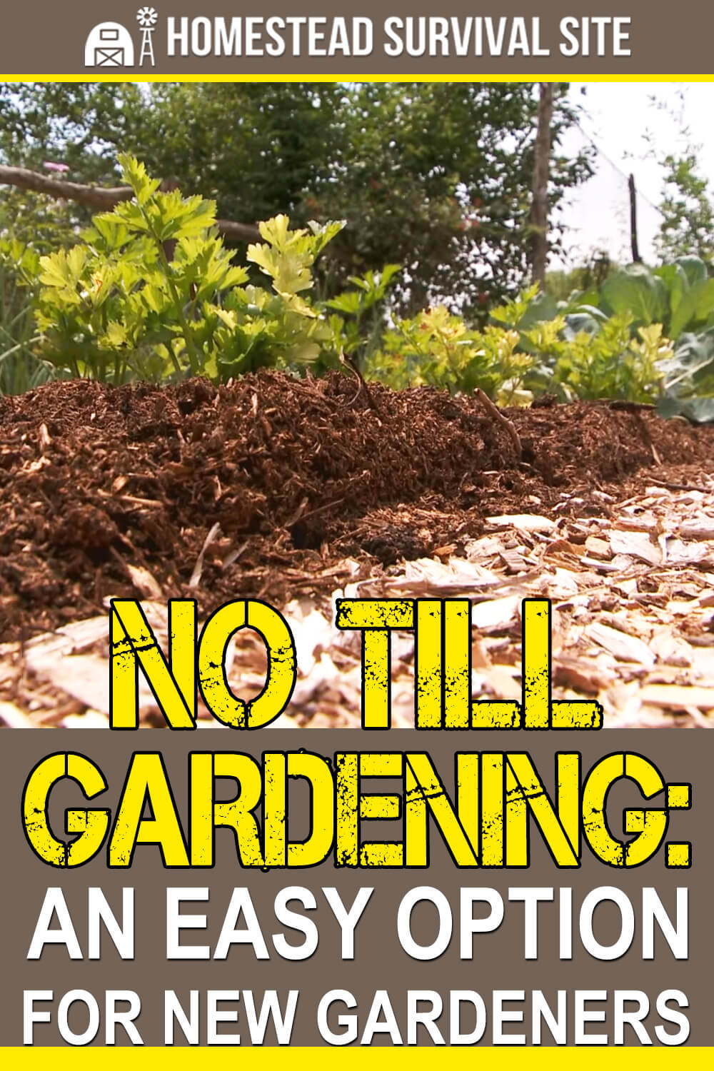 No Till Gardening: An Easy Option for New Gardeners