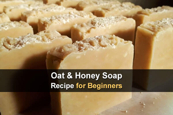 Oat & Honey Soap Recipe for Beginners