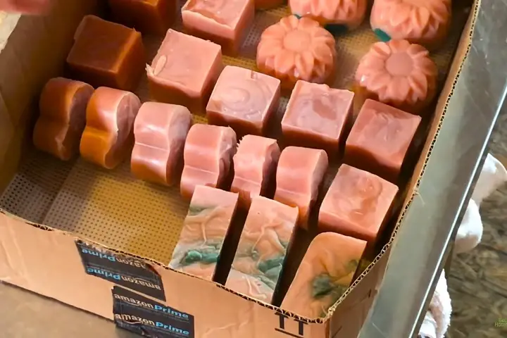 Olive Oil Soap In Box