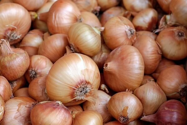 Onions | Foods That Store Well in Root Cellars