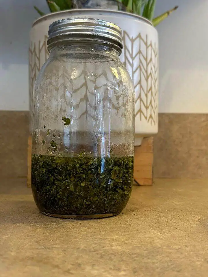Oregano Oil in Jar
