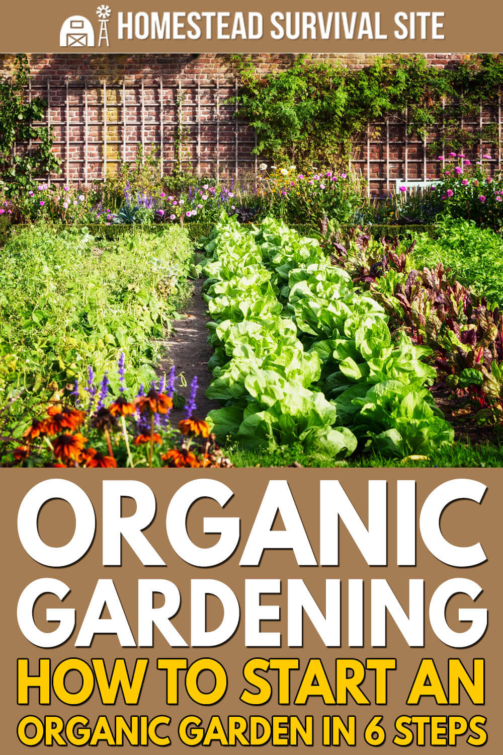 Organic Gardening – How to Start an Organic Garden in 6 Steps