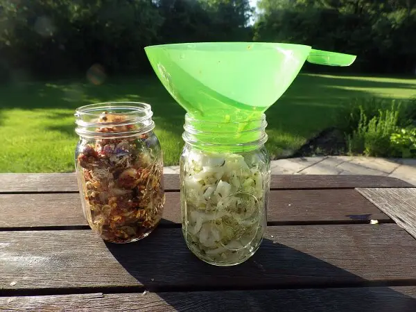 Packing Sauerkraut in the Jar