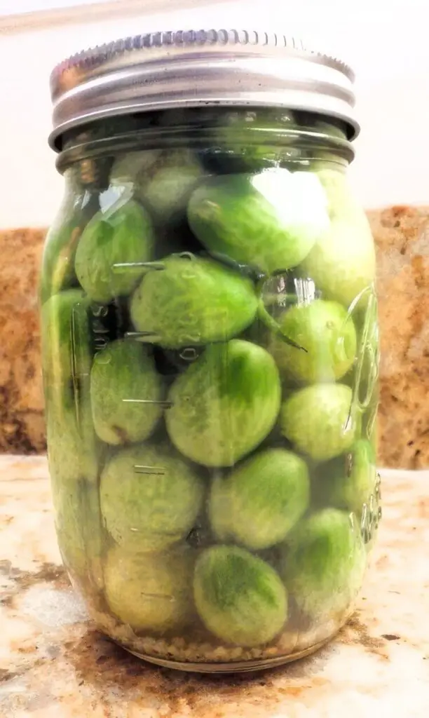 Pickled Green Tomatoes