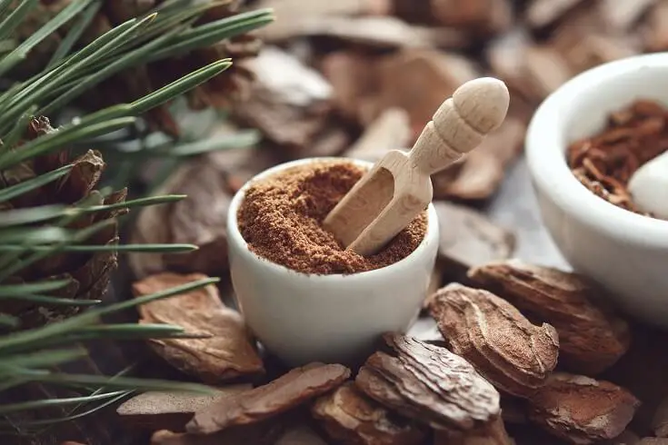 Pine Bark Grinded Into Flour