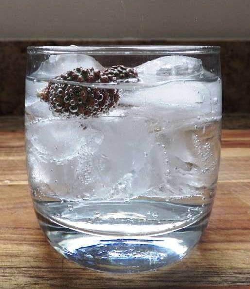 Pine Cone Soda in Glass