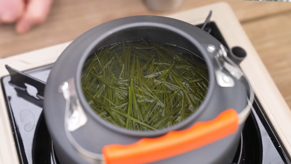 Pine Needle Tea