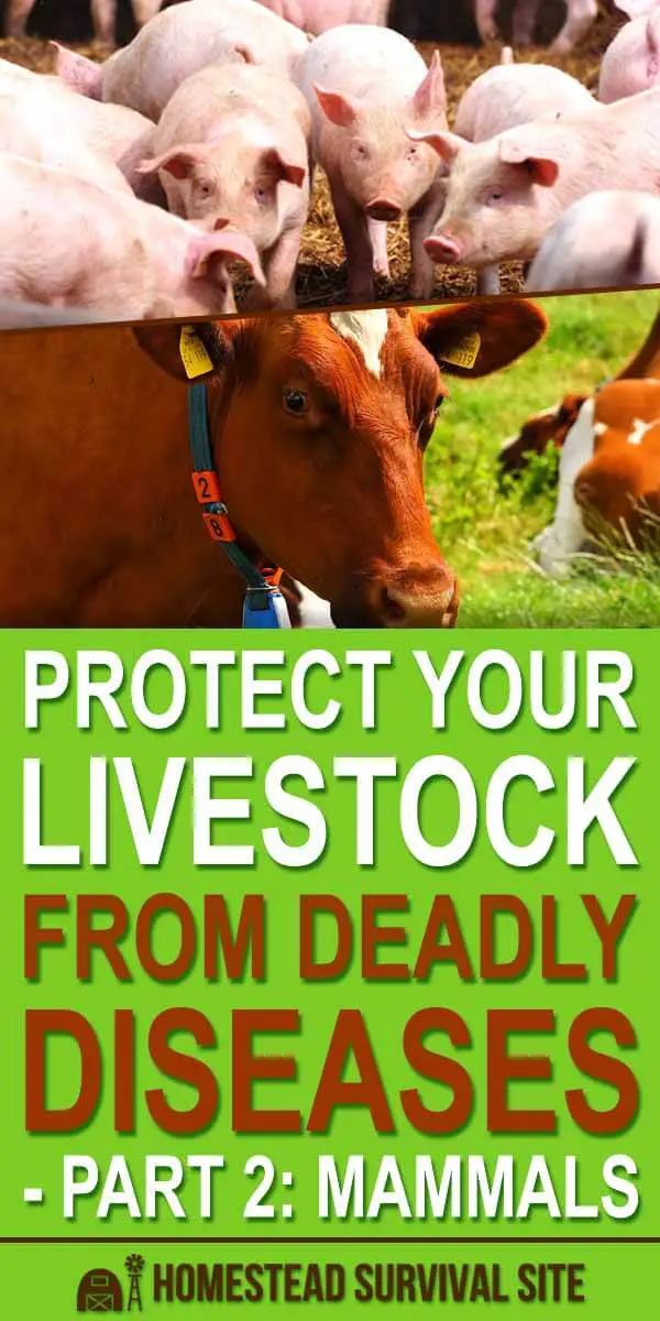 Protect Your Livestock from Deadly Diseases - Part 2: Mammals