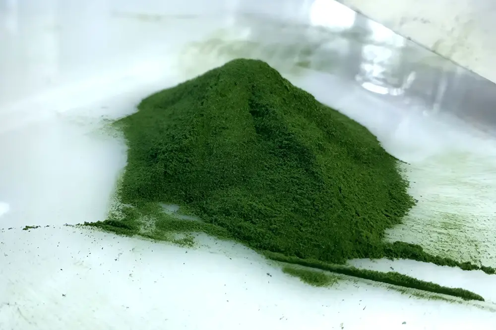 Pure Stevia Powder
