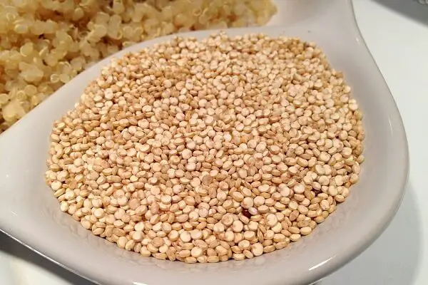 Quinoa