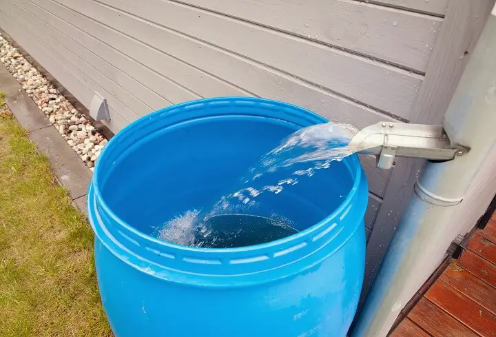 Rainwater Pouring Into Barrel