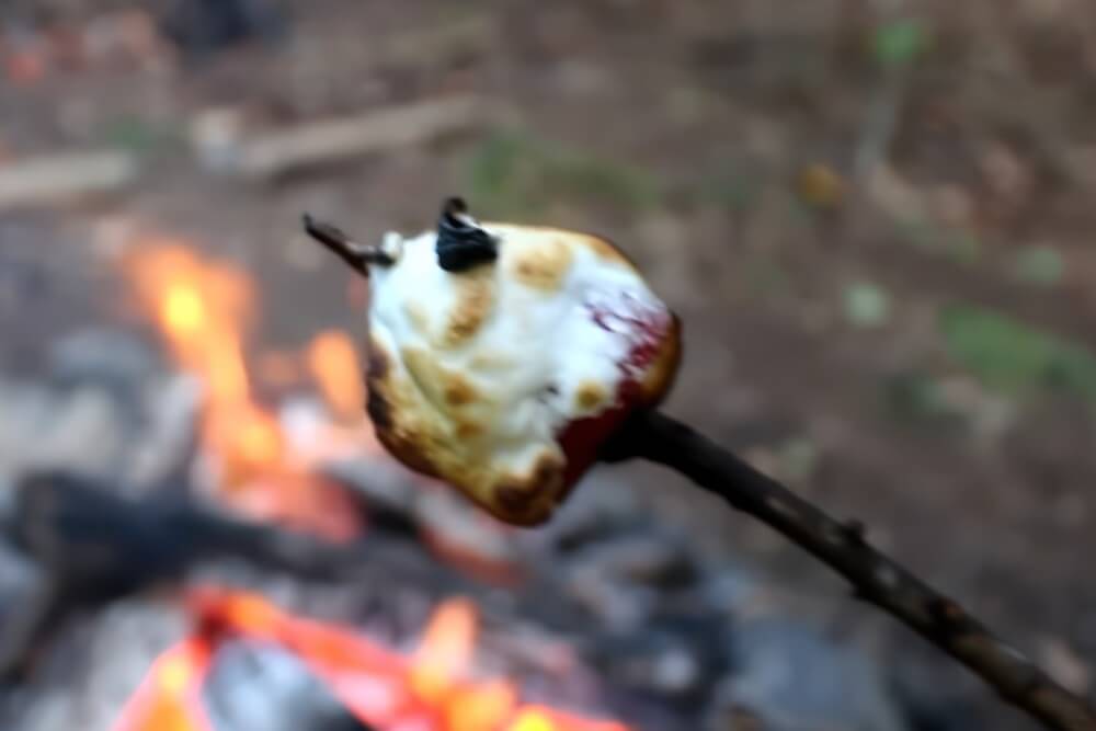 Roasted Strawberry