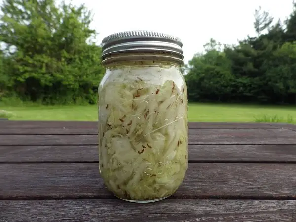 Sauerkraut Fermenting in a Jar