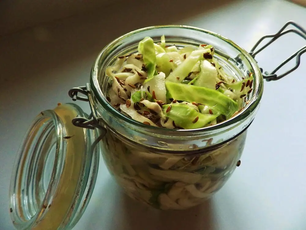 Sauerkraut Fermenting