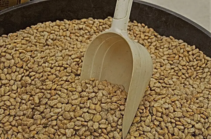 Scoop in Bucket of Beans
