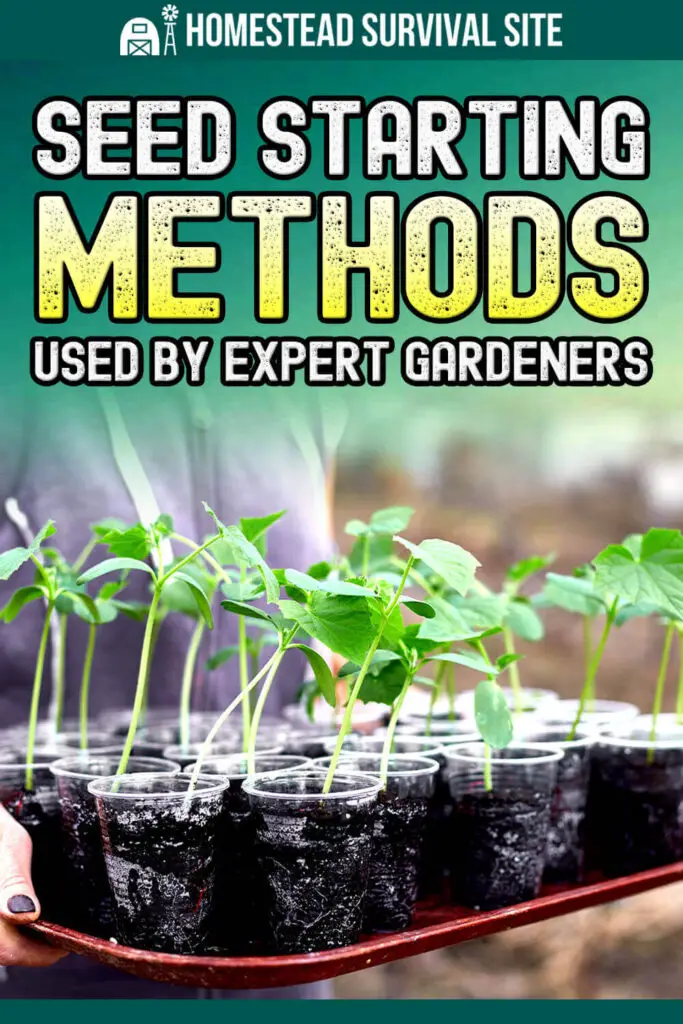 Seed Starting Methods Used By Expert Gardeners
