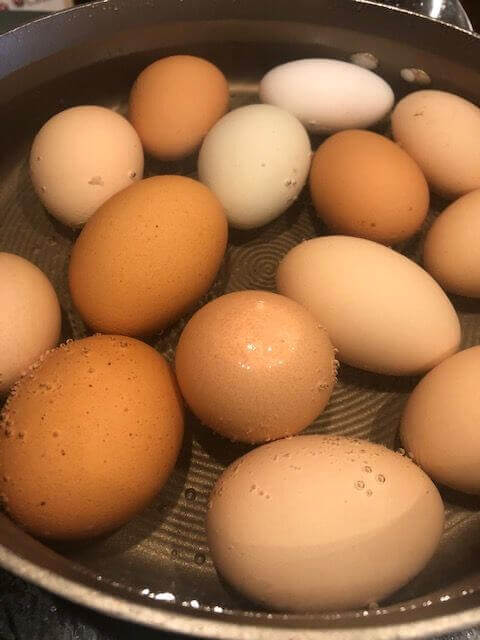 Simmering Pan of Fresh Eggs