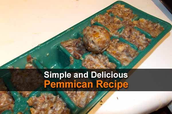 Simple and Delicious Pemmican Recipe