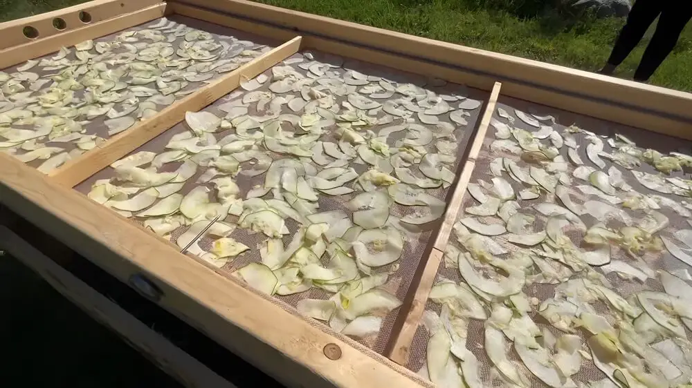 Slices in Dehydrator