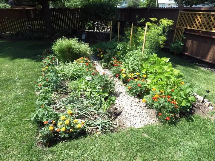 Small Scale Home Garden