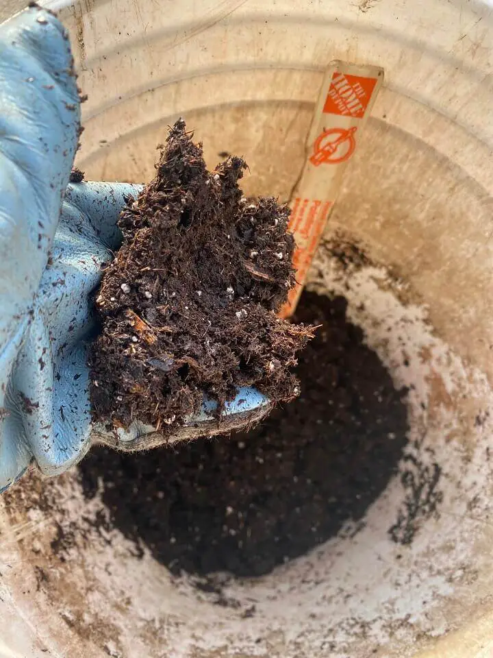 Soil for the Jug