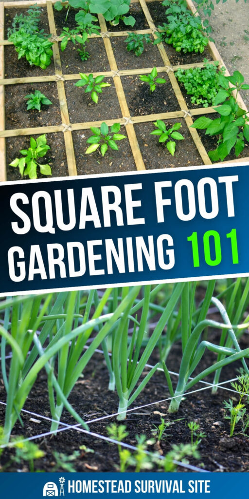 Square Foot Gardening 101