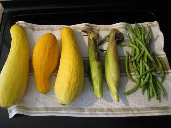 Squash, Corn, and Beans