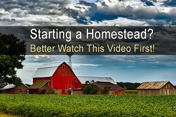 Starting a Homestead? Better Watch This Video First!