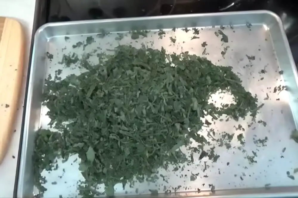 Step 1: Dehydrate Your Comfrey