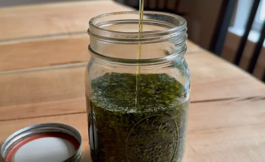 Infused the Oil