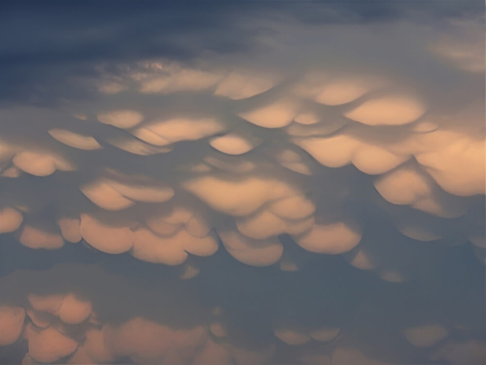 Stratocumulus (Mammatus)