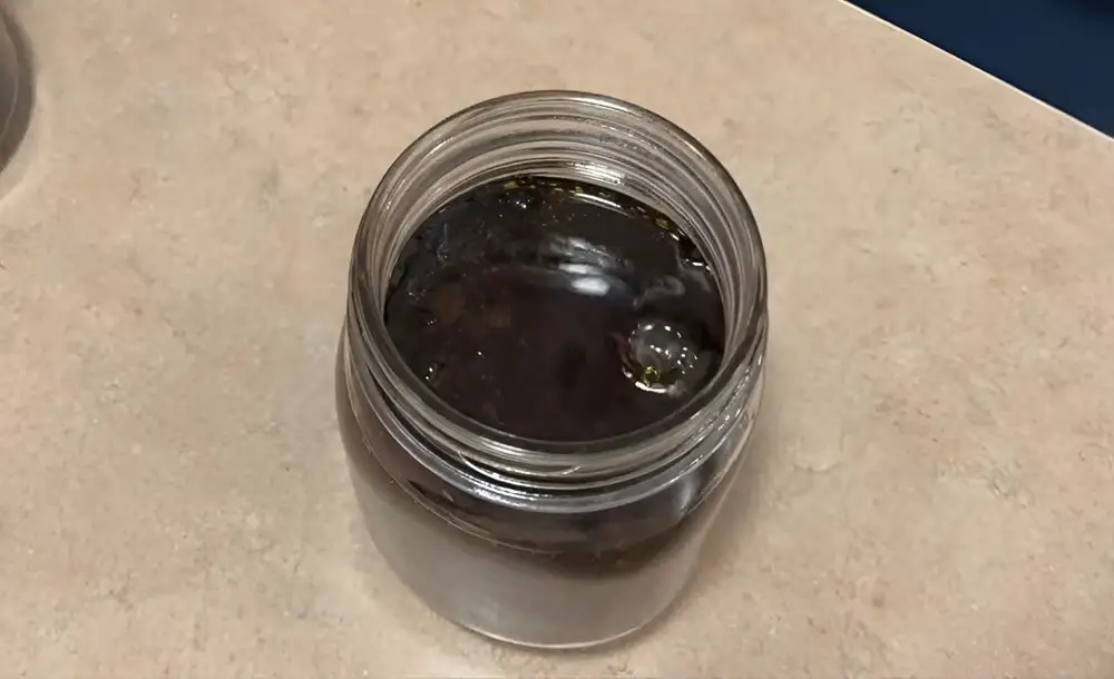 Submerged Black Walnuts