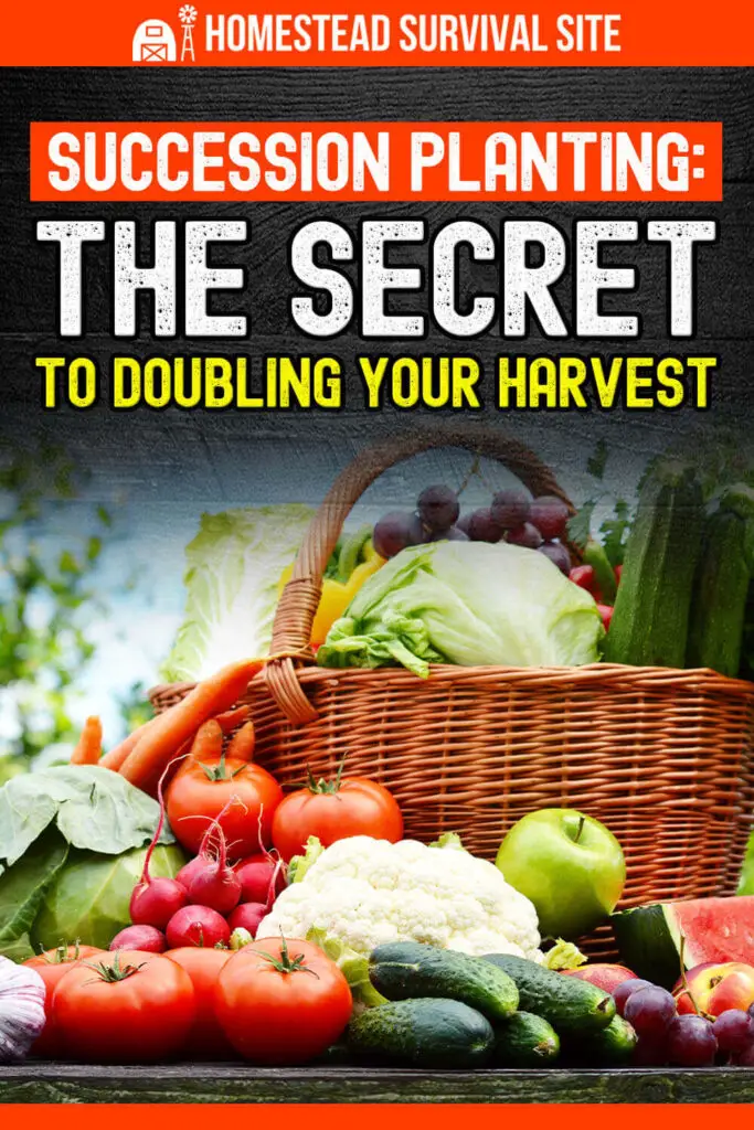 Succession Planting: The Secret to Doubling Your Harvest