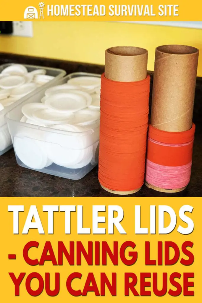 Tattler Lids - Canning Lids You Can Reuse