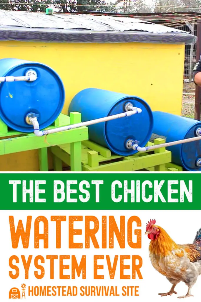 The Best Chicken Watering System EVER